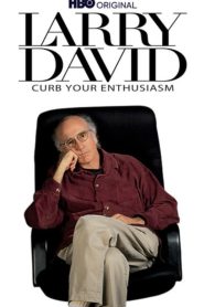 Larry David: Curb Your Enthusiasm