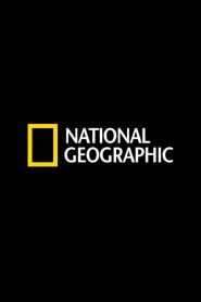 Adventures in Time: The National Geographic Millennium Special