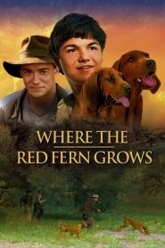 Where the Red Fern Grows