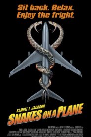 Snakes on a Plane