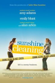 Sunshine Cleaning