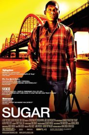 Sugar