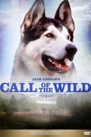 Call of the Wild