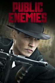 Public Enemies