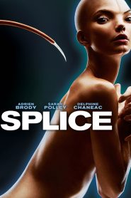 Splice