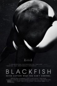 Blackfish