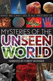 Mysteries of the Unseen World