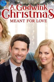 A Godwink Christmas: Meant For Love