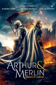 Arthur & Merlin: Knights of Camelot