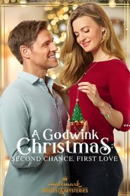 A Godwink Christmas: Second Chance, First Love