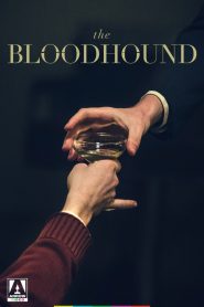 The Bloodhound