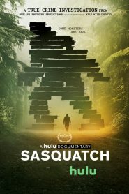 Searching for Sasquatch