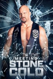 Meeting Stone Cold