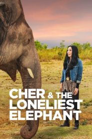 Cher & the Loneliest Elephant