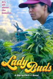 Lady Buds