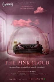 The Pink Cloud