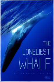 The Loneliest Whale: The Search for 52