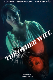 The Other Wife