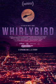 Whirlybird