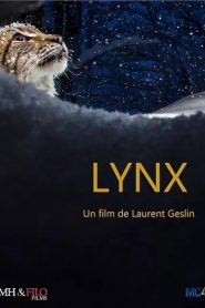 Lynx