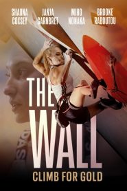 The Wall: Climb for Gold