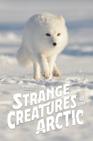 Strange Creatures of the Arctic