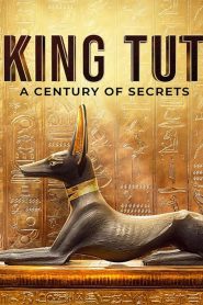 King Tut: A Century of Secrets