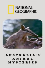 Australia’s Animal Mysteries