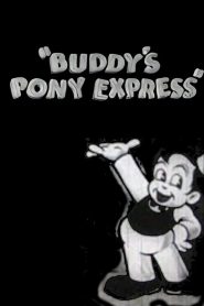 Buddy’s Pony Express