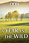 A Year in the Wild