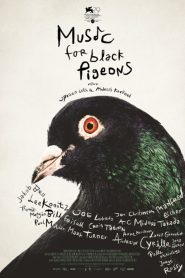 Music for Black Pigeons