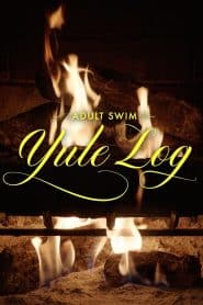 Adult Swim Yule Log (aka The Fireplace)