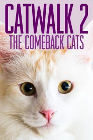 Catwalk 2: The Comeback Cats