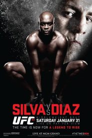 UFC 183: Silva vs. Diaz