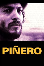 Piñero